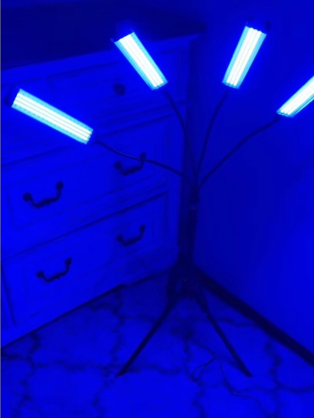 Home 4-Head Tanning Lamp - Blue/Silver Box